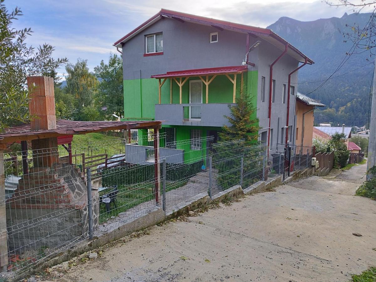 Vila Cri Cri Szászbuda Kültér fotó