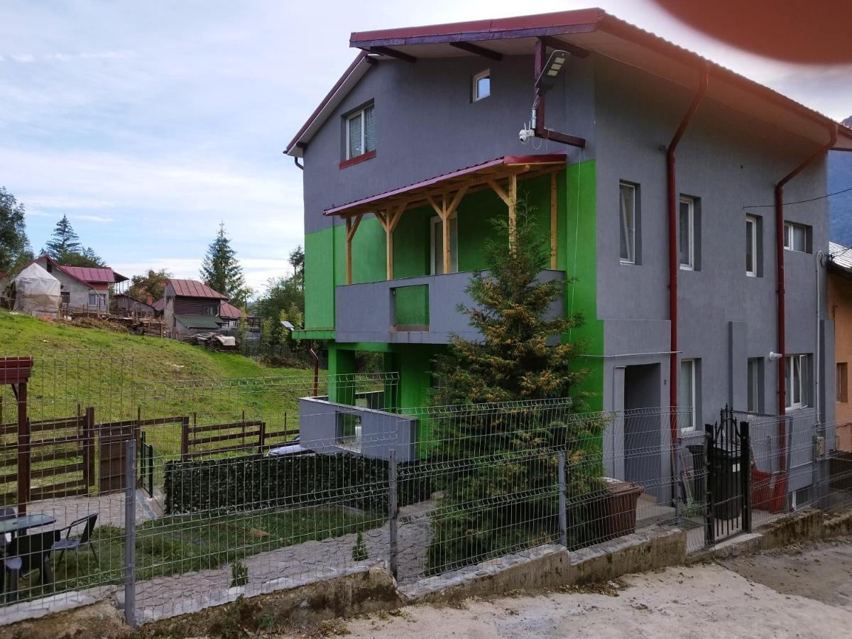 Vila Cri Cri Szászbuda Kültér fotó