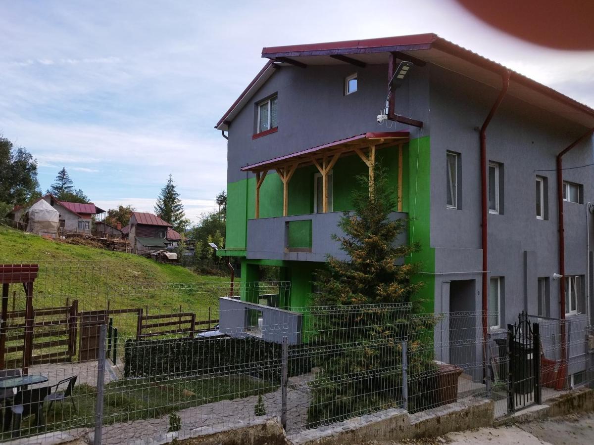 Vila Cri Cri Szászbuda Kültér fotó