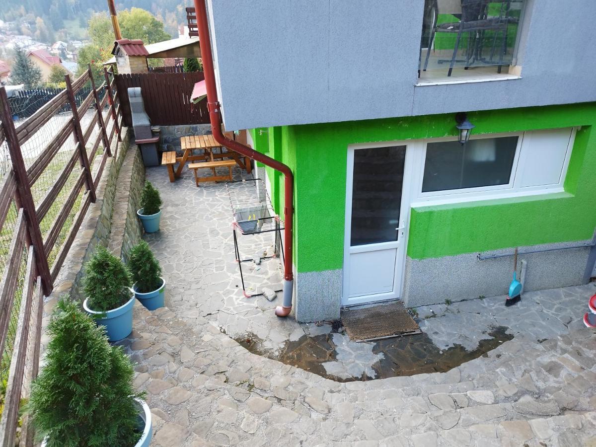 Vila Cri Cri Szászbuda Kültér fotó
